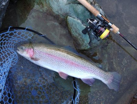 ７０オーバーキャッチ！ ～天竜川ルアーフライ専用区～